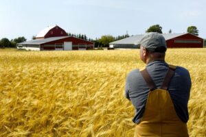 برنامه مهاجرتی کشاورزی و صنایع غذایی کانادا