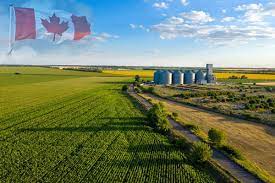 معرفی بهترین ایالت‌ های کانادا برای کشاورزی
