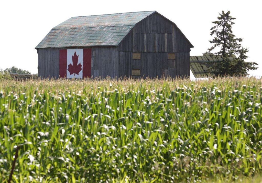 آشنایی با بهترین ایالت‌ های کانادا برای کشاورزی