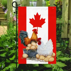 روش های خرید یا راه اندازی مرغداری در کانادا