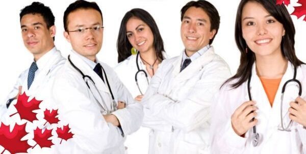 راه اندازی بیزنس در کانادا برای پزشکان
